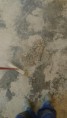 /album/nivelace/dsc-0120-jpg/