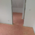 /album/nivelace/20221115-140839-jpg/