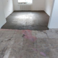 /album/nivelace/20221116-115115-jpg/