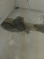 /album/nivelace/img-20190122-140355214-jpg/